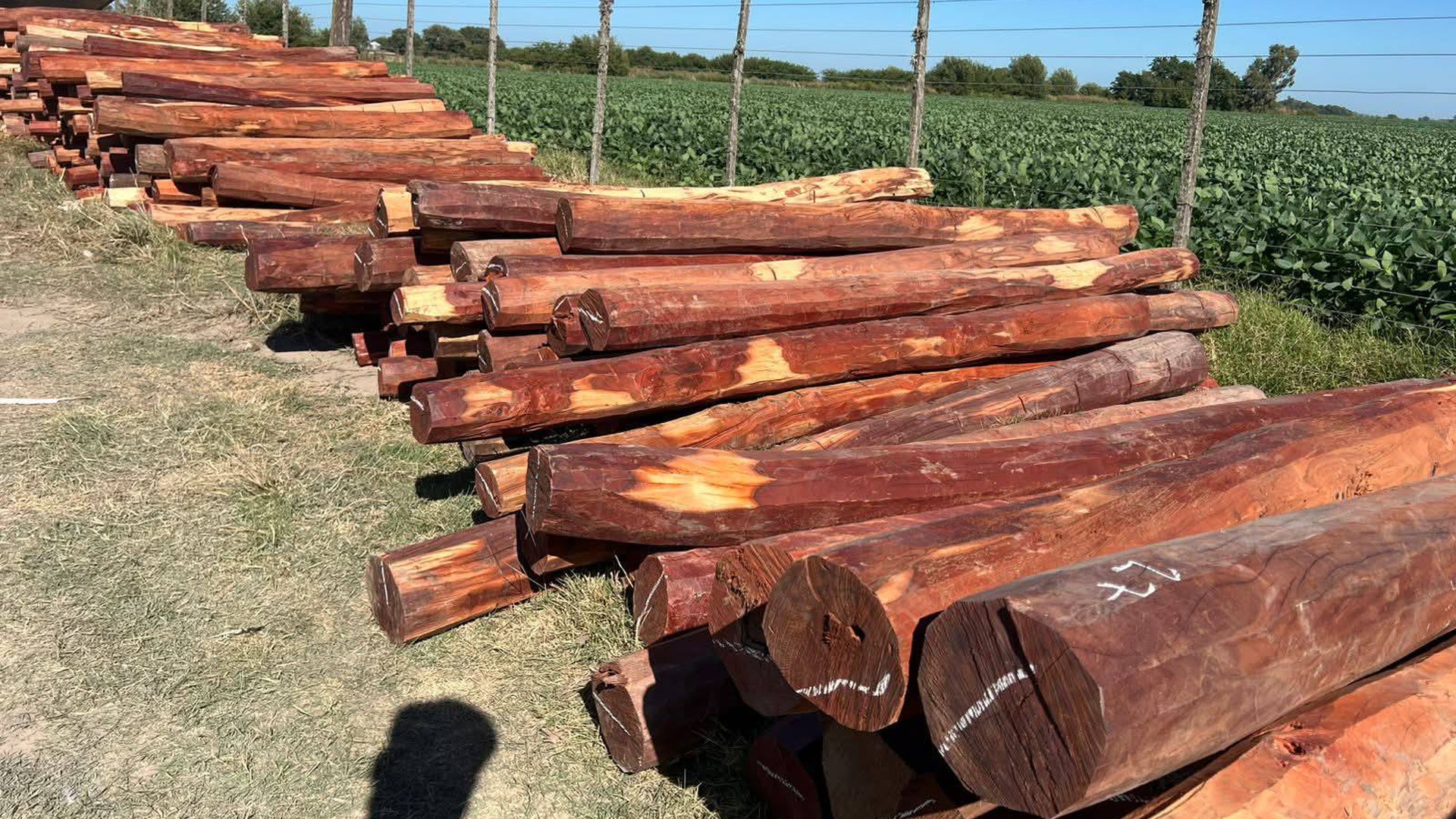 Postes de Quebracho